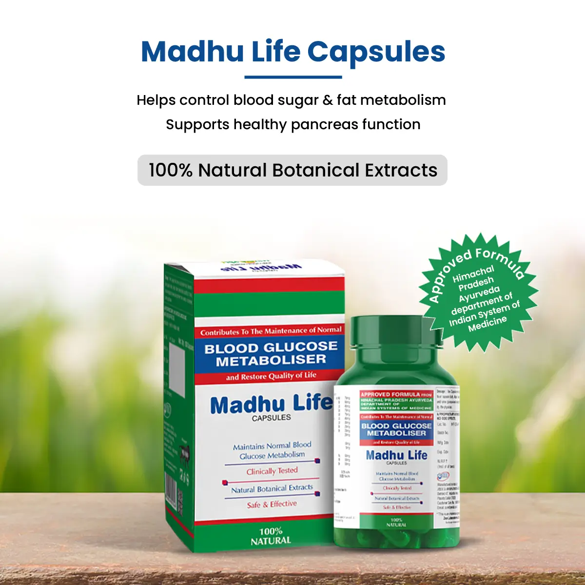 NatureXprt Madhu Life Capsules | 100% Natural Ayurvedic Medicine For Diabetes